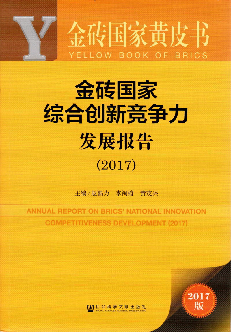 逼特逼进逼金砖国家综合创新竞争力发展报告（2017）